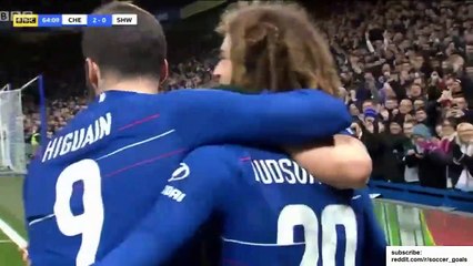 Callum Hudson-Odoi Goal - Chelsea vs Sheffield Wednesday 2-0 27/01/2019