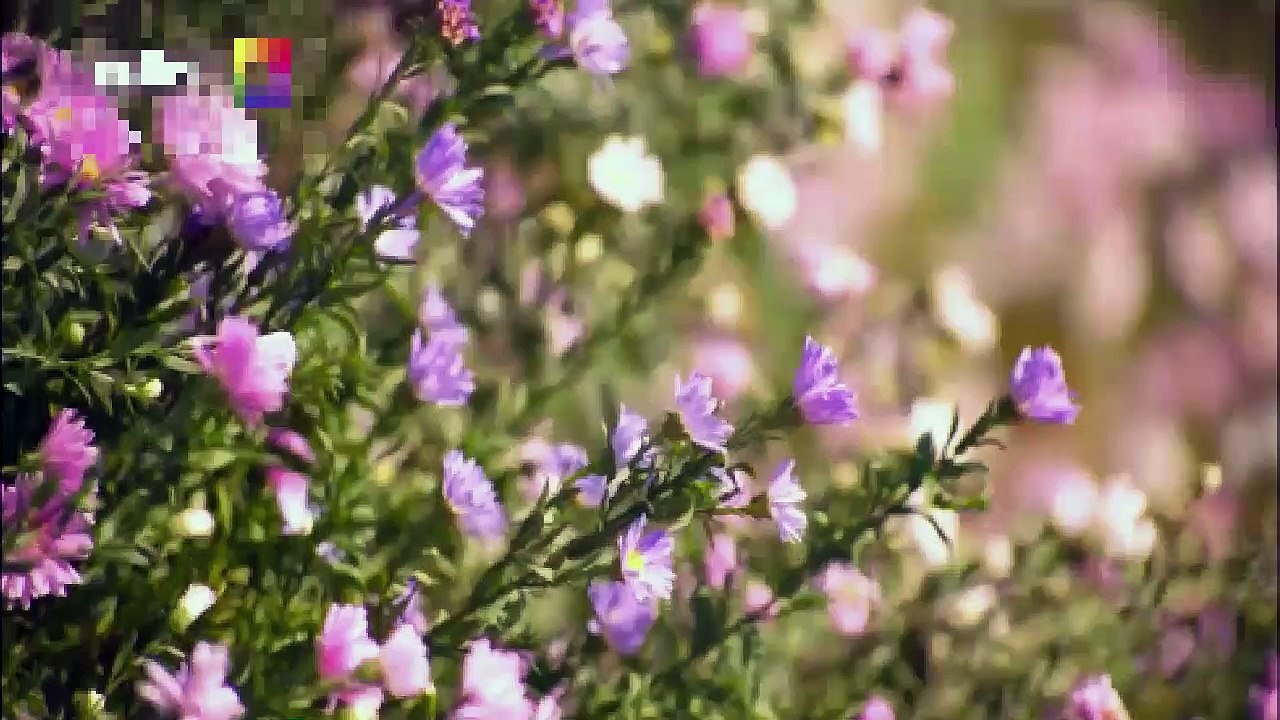 Chicos en busca del amor Capitulo 03