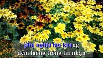 Đêm Gành Hào Nghe Điệu Hoài Lang, karaoke