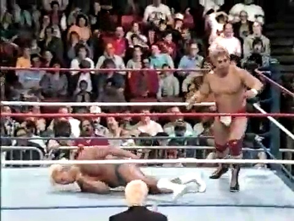 WWF Superstars 04 11 1987