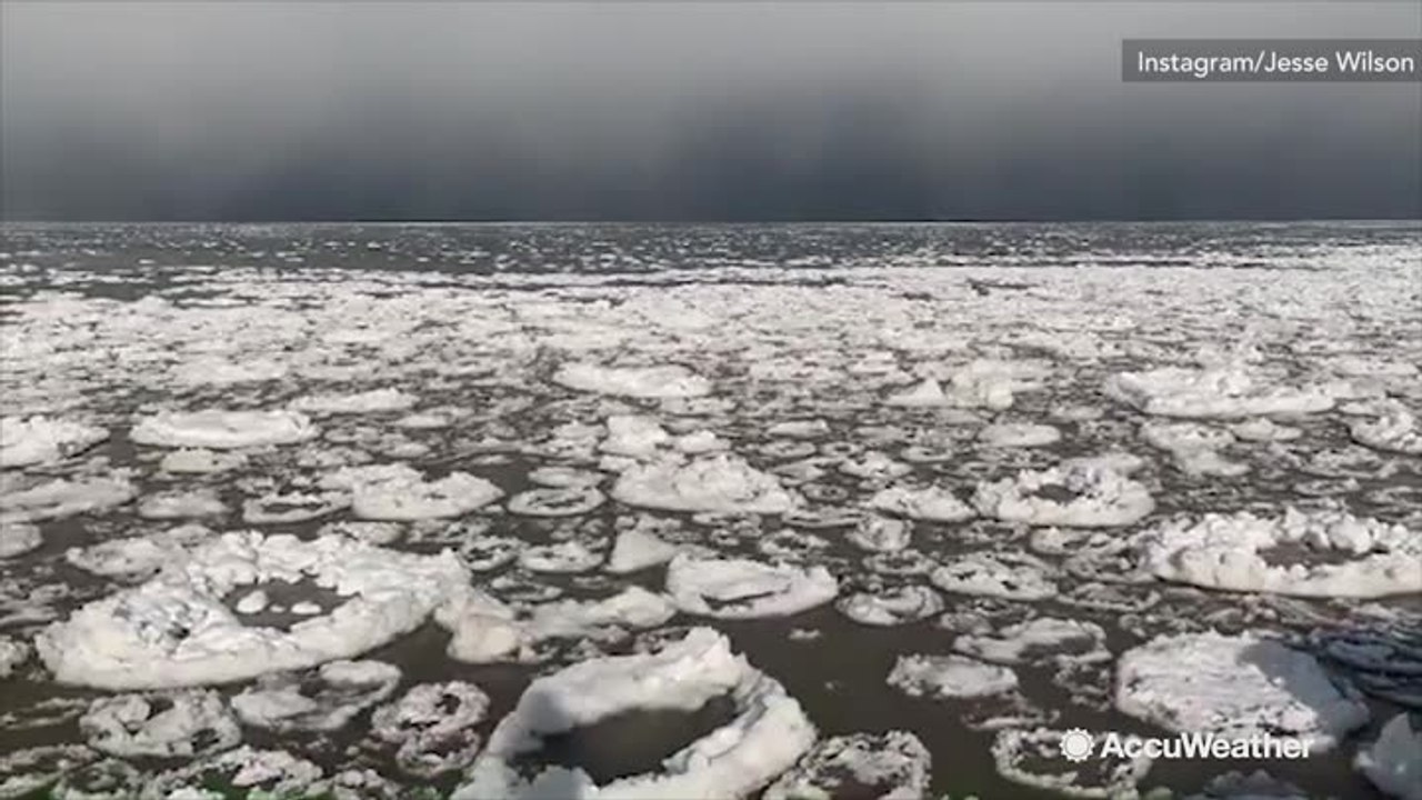 Watch these beautiful rings of ice float on top of Lake Erie