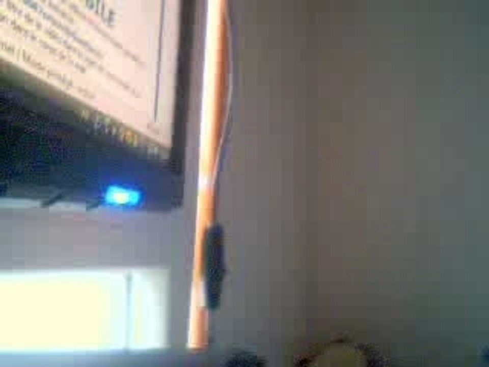 Webcam 1199546395324