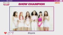 Show Champion EP.300 [축하메시지] EXO&Apink&MOMOLAND&WJSN