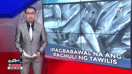 Paghuli ng isdang Tawilis, ipagbabawal na ng BFAR