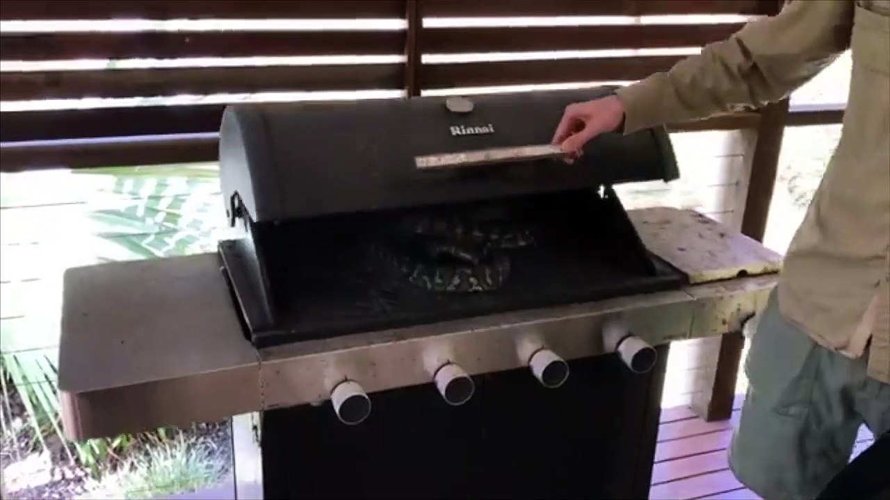 Australia Day BBQ Snake Surprise