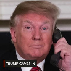 Trump climbs down in wall row, will reopen government