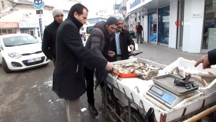 Sokak hayvanlarının umudu balıkçı esnafı oldu