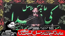 Zakir Syed Amjad Ali Sherazi Sahiwal 17th Muhram 1440(2018) Choti Behak Hafizabad