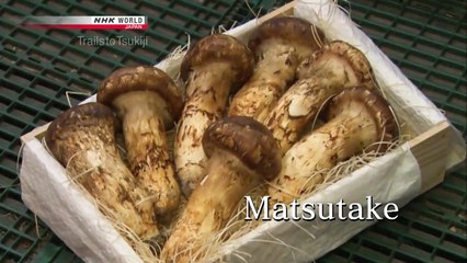 Trails to Tsukiji; MATSUTAKE