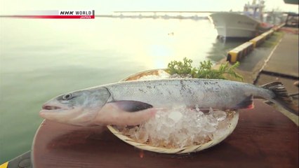 Trails to Tsukiji; SALMON