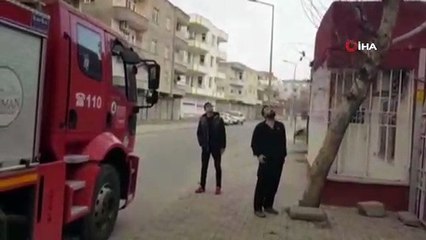 - Ağaçta mahsur kalan kumruyu itfaiye ekipleri kurtardı