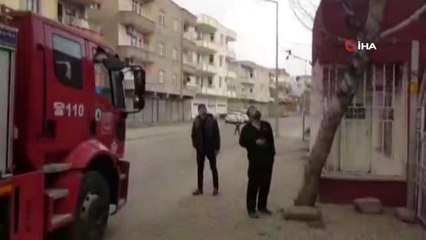 Ağaçta Mahsur Kalan Kumruyu İtfaiye Ekipleri Kurtardı