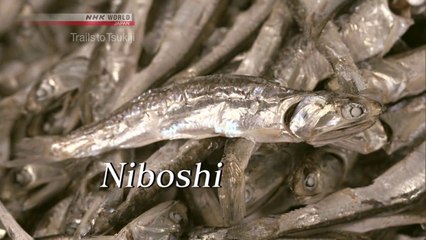 Trails to Tsukiji; NIBOSHI