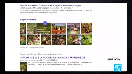 TinEye, l'alternative pour les recherches d'image inversée