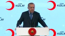 Cumhurbaşkanı Erdoğan, Kızılay ve Kızılhaç Ulusal Dernekleri İşbirliği Ağı Kuruluş Toplantısı'nda  - İSTANBUL