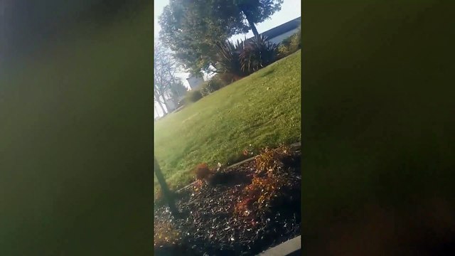 Une corvette explosée contre un arbre alors qu'il vient de la recevoir comme cadeau