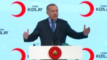 Cumhurbaşkanı Erdoğan: 'Farklı yardım kuruluşları arasında koordinasyonun artırılması çok önemli' - İSTANBUL