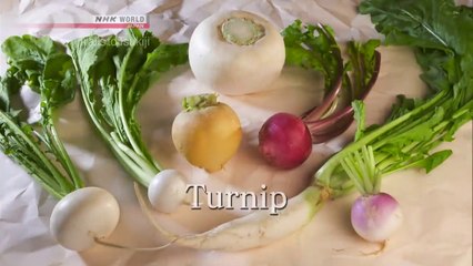Trails to Tsukiji; TURNIP