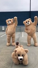 Voici trois grands nounours dansant sur une sélection de chansons connues