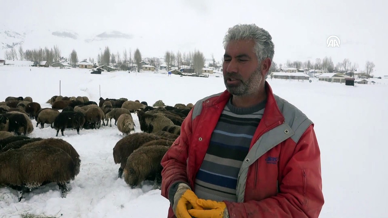 Muş’ta besicilerin zorlu kış mesaisi