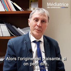 "Gilet jaune", le sens du mot, Jean Pruvost