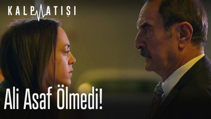 Ali asaf ölmedi - Kalp Atışı 23. Bölüm