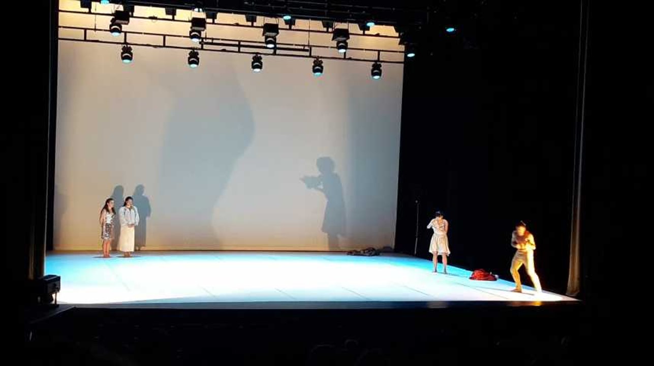 La Louvière: les écoles primaires louviéroises ont assisté à la représentation du spectacle "Cartoon" au Théâtre (2)