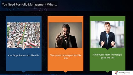 Understanding Portfolio Management: Purpose & Benefits 📈