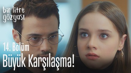 Yıllar sonra büyük karşılaşma! - Bir Litre Gözyaşı 14. Bölüm