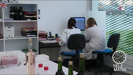 Comment le réchauffement climatique va impacter la vigne et le vin