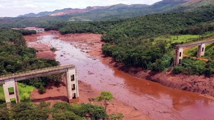 Vale suspende pagamento de dividendos