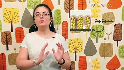 العناية بالبشرة