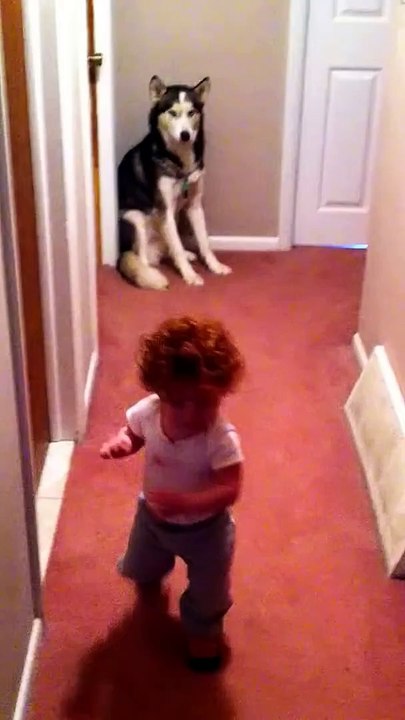 Effrayé par l'aspirateur, ce bébé se réfugie auprès de son chien !