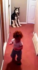 Un bébé se blottit contre son chien quand il entend l'aspirateur