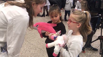 L’hôpital des nounours