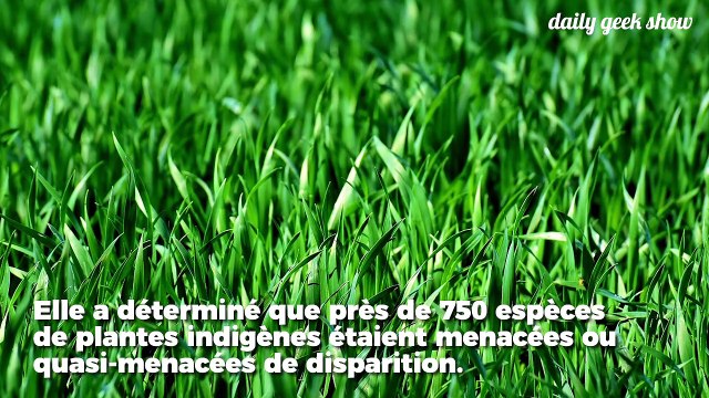 750 espèces de plantes sont en danger en France