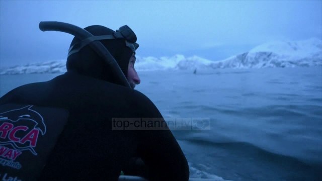 Ngrohja globale shtyn orkat më në veri - Top Channel Albania - News - Lajme