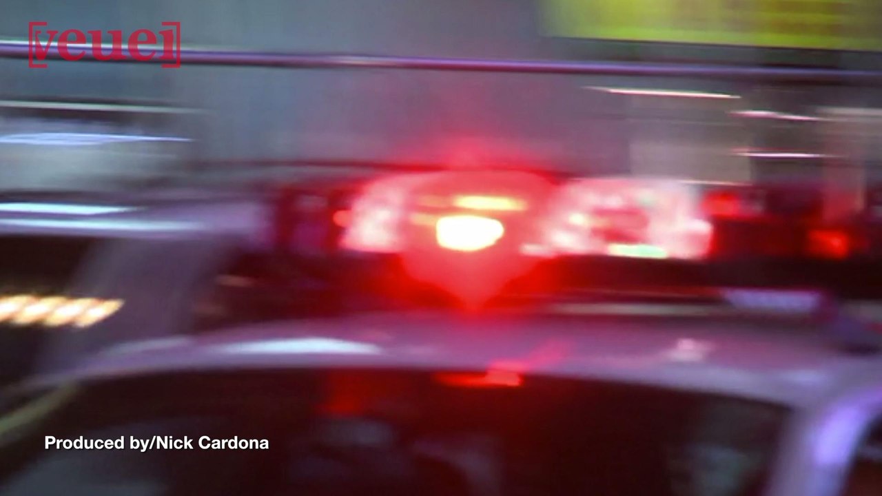 Utah Mother Facing Charges After Allegedly Snapping The Neck of the Family Cat in Front of Her Two Kids