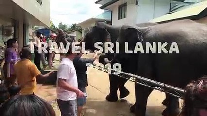 Travel Sri Lanka | #1 Top Destination in 2019