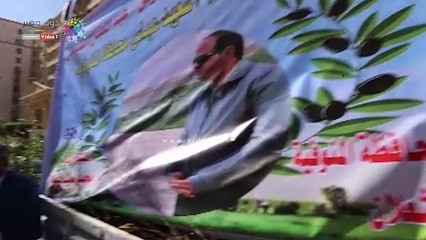 مبادرة هنجملها: غرسنا 53 ألف شجرة مثمرة بالجمهورية