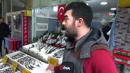 Karadeniz’de Mezgit Bolluğu