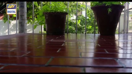 Bandish Episode 3 - 28th January 2019 - ARY Digital Drama