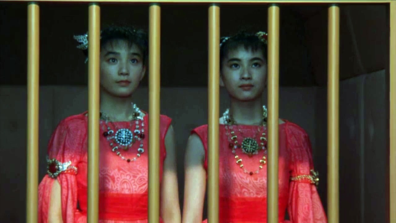 Godzilla Vs. Mothra Battle for Earth - Larva to Imago