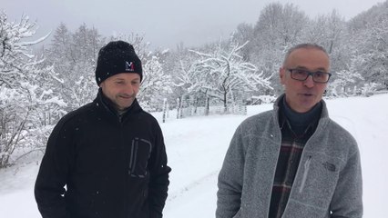 Le retour du loup dans les Vosges