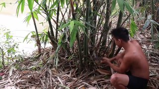 Primitive Technology- Amazing Quick Monkey Trap Using Bamboo