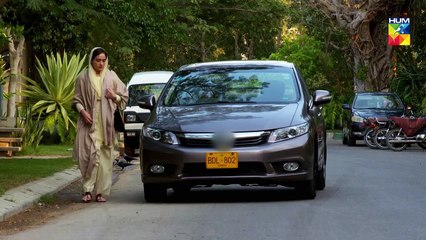 Bisaat e Dil Episode #27 HUM TV Drama 28 January 2019