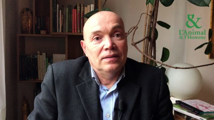 Interview 3 d'Éric Baratay : Sommes-nous les premiers à  parler d’intelligence animale ? 