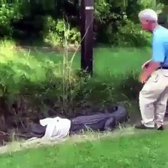 Ce papy veut attraper un crocodile mais se rate complètement