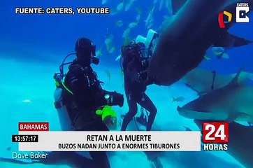 Nadando con tiburones: buzos arriesgan sus vidas para obtener impresionantes imágenes