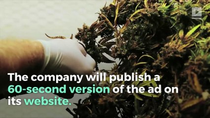 CBS Refuses to Air Cannabis Company's Super Bowl Ad